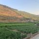 Cottage Douro Vallée, Espinhosa (fotografie 8)