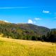 Berggasthof zur Todtnauer Hütte, Feldberg - Fotografie 9