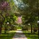 Green Park Divjake, Divjakë