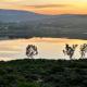 A State of Grace, Clanwilliam - Fotografie 3