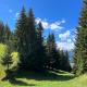 Beautiful Swiss chalet with breathtaking views and a sauna, Riein (fotografie 6)
