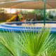 Luxury Farm 2 with Swimming Pool Al Rahba - Fotografie 3