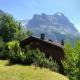Apartment Chalet Sunneblick by Interhome Grindelwald - Zdjęcie 10