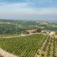 Agriturismo Cantine Bevione - Rooms with air conditioning, Belvedere Langhe - Fotografie 2