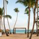 Royalton Hideaway Punta Cana, An Autograph Collection All-Inclusive Resort & Casino - Adults Only - Foto 1