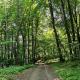 Forest paradise, Koprivnica (photo 5)
