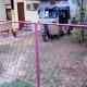 Meera Homestay & Guest House, Anuradhapura (foto 5)