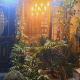 Sufi Khandar Home Stay, New Delhi - Kuva 2