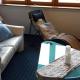 Ferienwohnung Bienenbeute, Ebenweiler - Foto 3