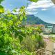 Apartments Mate, Omiš (photo 8)