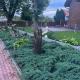 Mieszkanie - Apartament, Dąbrowa (zdjęcie 10)