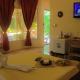 Deep Forest Garden Hotel, Puerto Princesa (photo 5)