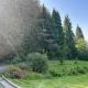 Bodea Alpenblick, Rickenbach - Foto 6