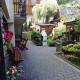Willa Marianna, Zakopane - Photo 2