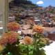 Killitas home&apart, Cuzco (fotografie 5)
