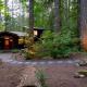 Tamanawas Cabin, Rhododendron (fotografie 4)