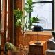 Stunning Loft in the heart of OTR, Cincinnati - Fotografie 10