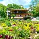 Villa Ometepe, Mérida (foto 2)