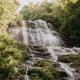 Timberline Glamping at Amicalola Falls, Dawsonville (fotografie 4)
