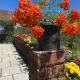 Thendral: Delightful homestay on a hill near Ooty, Naduvattam - Fotografie 2