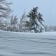 Great Views Fully Renovated Luxury 4 Bedroom 3 Full Bathrooms and Half Bath Snowcreek 732 Phase V, Mammoth Lakes - Foto 8