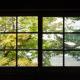 草木ももとせ, Iwasaki (Foto 5)
