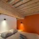 Charming Apartment with Exposed Beams Ainay District Lyon - Fotografie 9