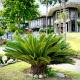 Rock City Resort, Mingora (fotografie 3)