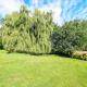 The Cottage at Hale Hill Farm, Pulborough, Pulborough (fotografie 5)
