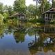 Thatched Home by Pond in Holiday Park, Markelo - Fotografie 7