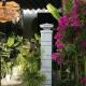 Hoi An Sunny Garden, Hội An - Photo 5