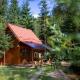 Pura Vida Forest Home, Poiana Horea - Photo 2