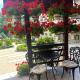 Апартамент в отеле Шале Грааль г Трускавец, Truskavec' (foto 3)