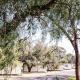 Spicer Caravan Park, Parkes (fotografie 5)