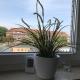 Ferienwohnung Hallix - Wilhelmshaven, Wilhelmshaven - Foto 6