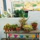 Casa Pina country house, Málaga - Foto 3
