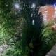 Garden Apartment, Nova Varoš (foto 6)