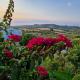 Country house with amazing sea view Kassandra - Fotografie 3