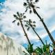 The Beverly Hilton, Los Angeles - Foto 8