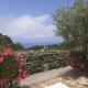 Villetta Rocchi - Costa Paradiso, Costa Paradiso (photo 7)