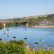 Butter Bay at White Horses, Bantham, South Devon with glorious estuary views - Zdjęcie 7