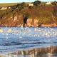 Butter Bay at White Horses, Bantham, South Devon with glorious estuary views - Zdjęcie 10