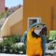 La Vida Sin Limites EMP, Empuriabrava