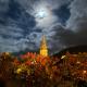 BASIA, Lourdes - centre , quartier historique Sanctuaires a 7 min a pied, Lourdes