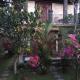 Pondok Gepokan Homestay Ubud - Photo 4