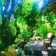 Pebble Homestay, Hoi An - Foto 2