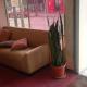 Hotel ESER, San Pedro (Foto 4)