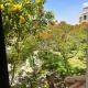 Garden view apartment, Káhira - Fotografie 7