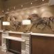 Embassy Suites by Hilton Akron Canton Airport, North Canton (fotografie 5)
