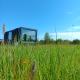 Wild Meadow